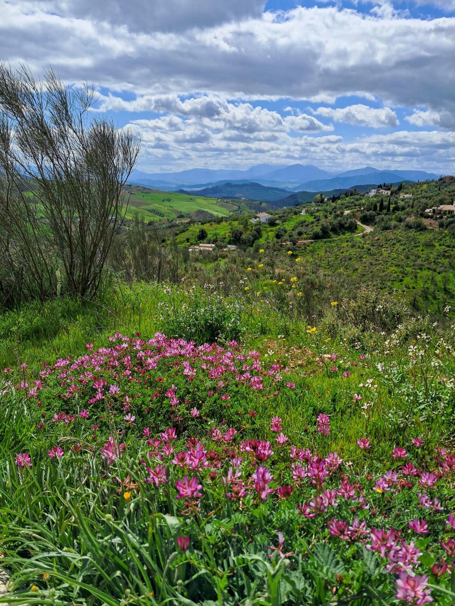 Finca Amorosa Villanueva de la Concepción Kültér fotó